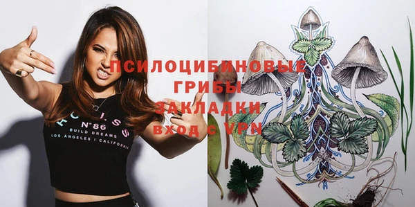 бошки Аркадак