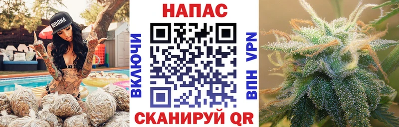 закладка  Талдом  МАРИХУАНА планчик 